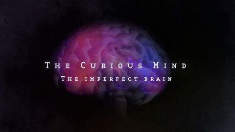 The Imperfect Brain
