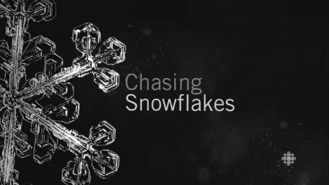 Chasing Snowflakes